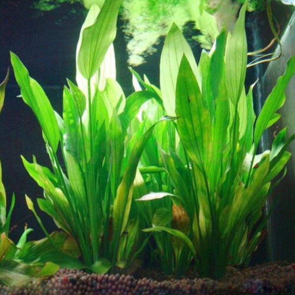 Dry Herb Vaping Accessories - 15 cm Kunstmatige Aquarium Decor Planten